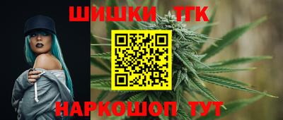 мдпв Обнинск